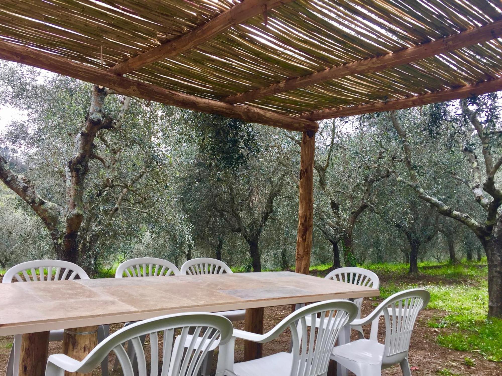 Agriturismo Fattoria Celle Figline Valdarno Room photo